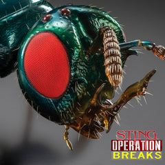 60 STING OPERATION BREAKS UNRELEASED DIRT STYLE RECORDS DIGITAL DOWNLOAD!