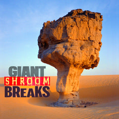 62 GIANT SHROOM BREAKS UNRELEASED DIRT STYLE RECORDS DIGITAL DOWNLOAD!