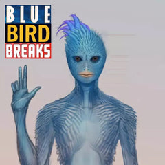 77 BLUE BIRD BREAKS UNRELEASED DIRT STYLE RECORDS DIGITAL DOWNLOAD (Sneak Peek)